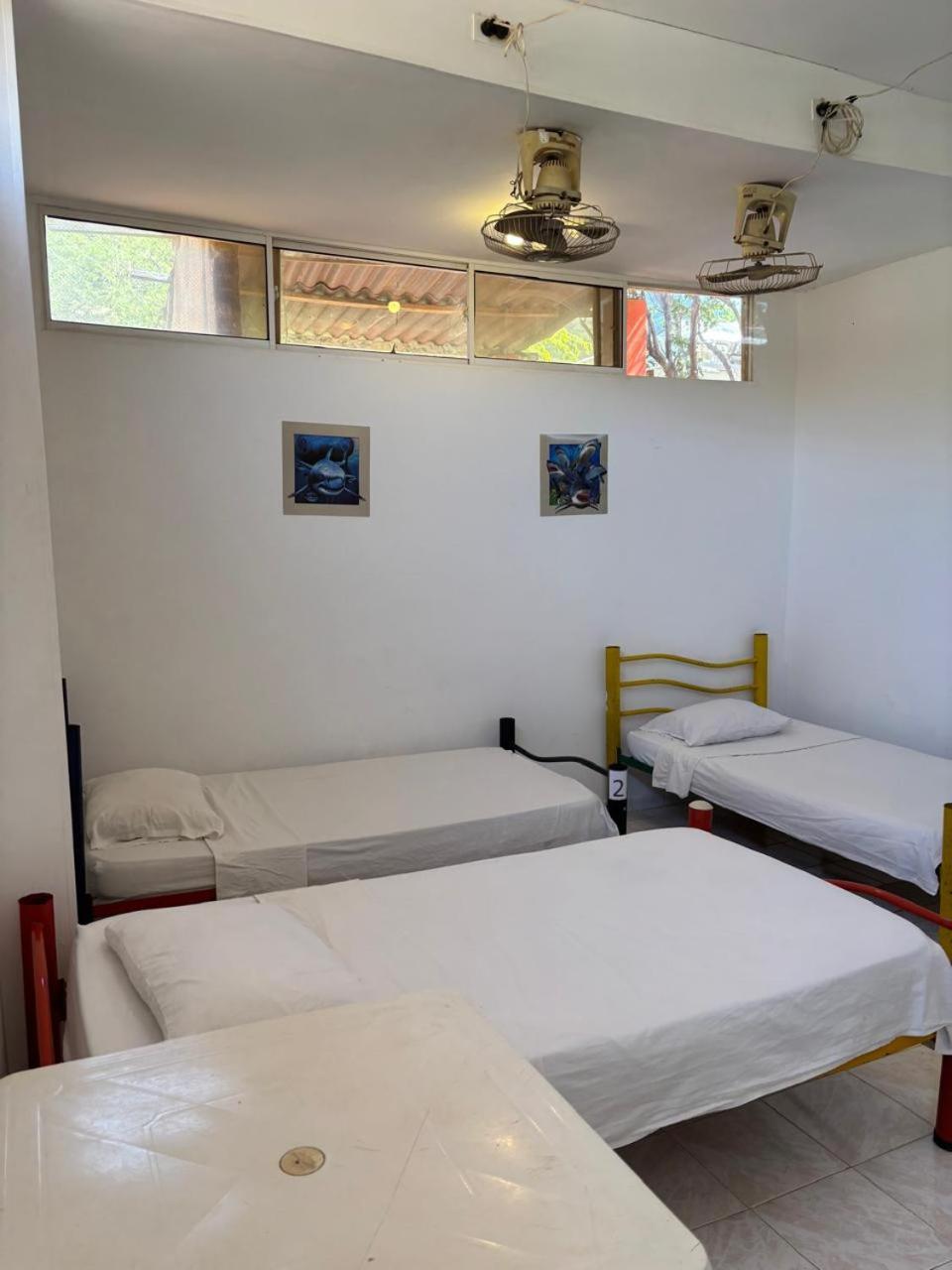 Sierraventura Hostel Taganga Exteriér fotografie